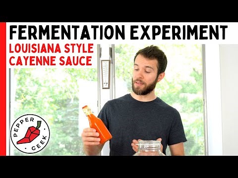 Fermentation Experiment (Cayenne Pepper Sauce) - Pepper Geek