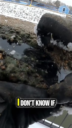 The Fisher on Instagram: "🤯 Just peeled glass off something WILD! Rainbow liquid underneath... What IS this?! Looks like alien oil or a hidden treasure?! ✨ #mystery #weird #oddlysatisfying #whatisthis #unboxing #strange #MagnetFishing"