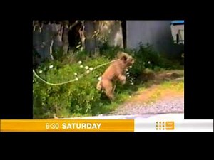 Australia's Funniest Home Videos - Nine Network Promo 2005