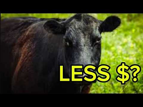 Why Bigger Cows Are Killing Your Profit Per Acre
