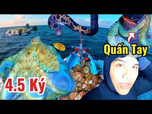 Thợ Lặn Thót Tim: Đối Mặt Thủy Quái Lạ –Bạch Tuộc Khổng Lồ Xuất Hiện –Trúng Đậm Hàu Hương!”