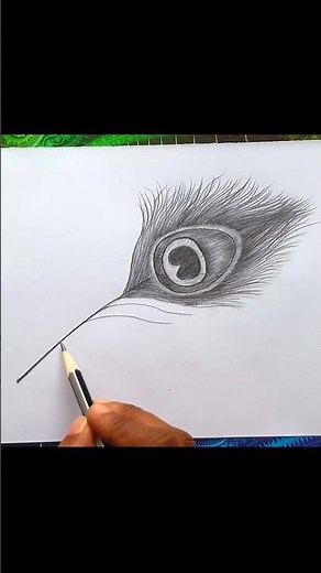 How to draw a Peacock Feather with pencil / Easy step by step method for beginners #Shorts