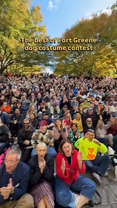 NYC dog costume contests you will ALWAYS be famous! We’re so obsessed with all our furry friends at Fort Greene’s pup halloween event! Who had your favorite fit? Drop it in the comments! @chinatown_phil 🎥 #mysecretnyc #lifestyle | Secret NYC