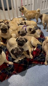 29K views · 1.1K reactions | It has been a long day of waiting,...