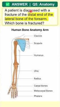 AAPC CPC Mock Exam: Anatomy Questions & Answers! 🩺