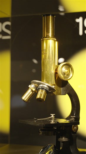 🖼️ Due to popular demand, the MAGNIFIED exhibit at ARTIS #Micropia in Amsterdam, The Netherlands, has been extended until the end of January 2026! 🔬✨ Don’t miss your chance to see the 100-year-old JOICO microscope on display. 🔗 Plan your visit: https://www.artis.nl/en/artis-micropia/daily-schedule/magnified #NikonMicroscopy100 | Nikon Microscope Solutions