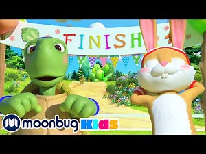 The Tortoise and the Hare | BEST Animal Songs ‪@CoComelon‬ | Sing Along With Me!