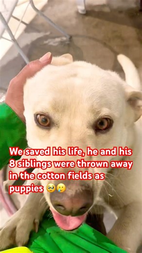 A life worth saving.