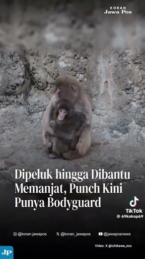 #di tik tok punch vital#