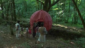 A un Fil - Nuitées atypiques en plum'arbres® à Trémargat et Brennilis