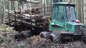 Timberjack 810B 泥泞中收集运输木材