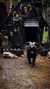 Black Phillip and his Witch House 🖤🦇 🎥 @pthearse | The Nocturnal Cult