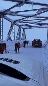 37K views · 1.1K reactions | Guess The Location Let's See Who Can Identify?? | Mobile bazaar fan club | Facebook