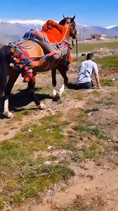 1.4M views · 10K reactions | Brave Man ☺ Nothing is impossible if you try #grfarming #horseriding #Pakistan #horselover | GR Farming | Facebook