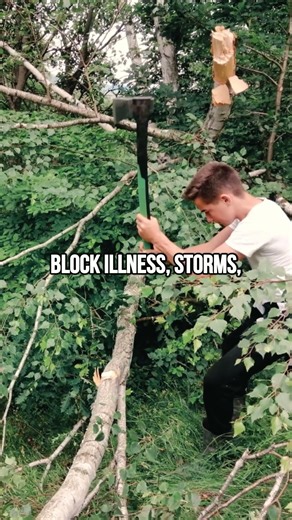 How Romanians Protected Their Homes With Trees | Arminden