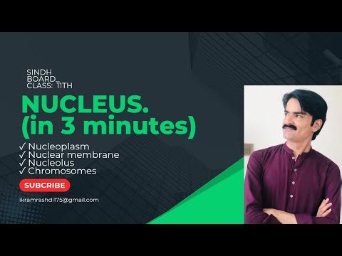 NUCLEUS | CELL BIOLOGY | Class 11th | Sindh Board