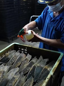 Katsuobushi: Japan’s Hardest Food Explained