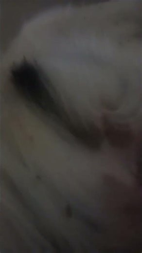 this sound is magic#stack