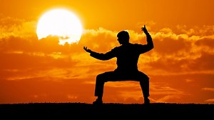 How mastering a simple Kung Fu stance can change your life | Mint