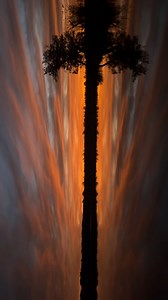 This was so worth being late to the blind. Turn your phone sideways and enjoy what I got to witness this am! | Kristine Fischer