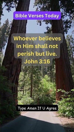 Bible Quotes | Bible Verses Today | Daily Bible Verses