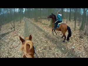 Pferd außer Kontrolle... Fail. // Helmkamera