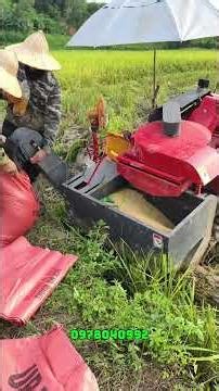 How does the 1.6 cros rice harvesting system operate? #riceharvester #miniriceharvester