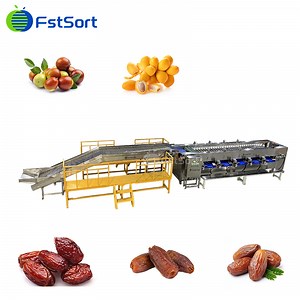 [Hot Item] Fstsort Date Processing Machine Automatic Date Sorter Date Grading System Date Fruit Machinery Date Processing Equipment