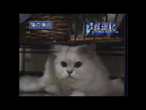 特命リサーチ200X 特選８