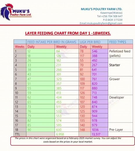 MUKU'S Poultry Farm Ltd on TikTok