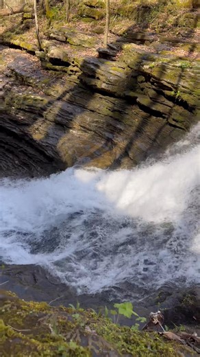 🌊~daily waterfall therapy~🌊 from Sidewinder Falls #chasingtheozarks #WaterfallTherapy #sidewinderfalls | Chasing the Ozarks