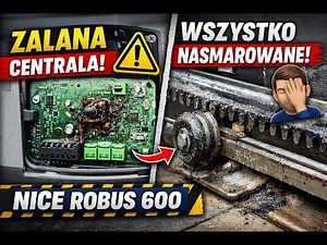 NICE ROBUS 600 – flooded control unit and "service" in Polish 🤦‍♂️ | Drive diagnosis and repair