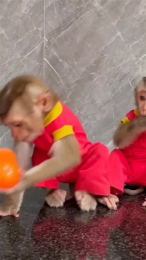 Exploring Monkey D. Luffy's Unique Character Traits