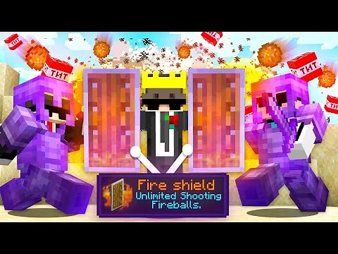 How I Obtained The STRONGEST Shields in this Minecraft SMP...