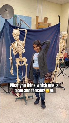 Guess which one is male/Female?🤔 #karuna #fyp #art #skeleton #usa #vlogger #viralshort #artist #nj
