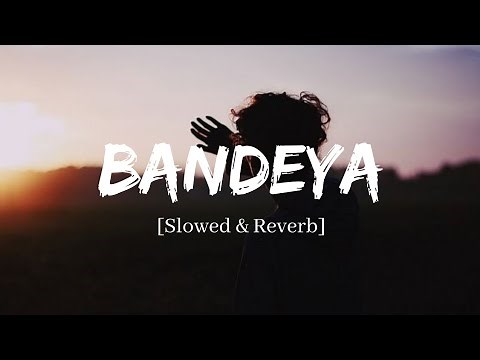 Bandeya - Arijit Singh Dil Juunglee Song | Slowed and Reverb Lofi Mix
