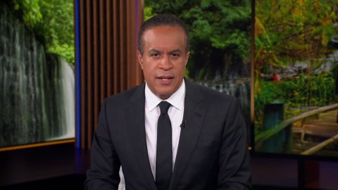 Japan takes unusual steps to deal with its deadly bear problem