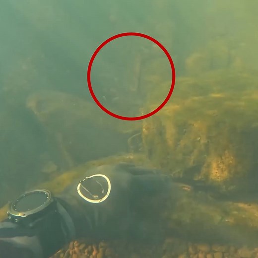 351K views · 3.2K reactions | Girlfriend confesses  | D ALL MY D | Facebook