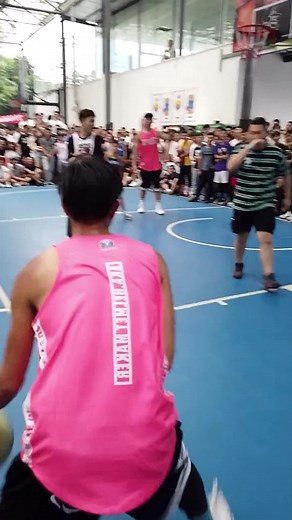 Basketball Shoes: Dimensionality Reduction Attack Explained