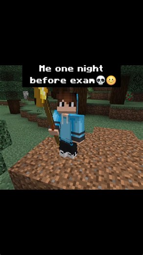 one night Before exam 😂#minecraft #shorts #love #shree #tranding #viral