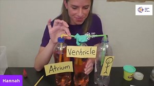 Science Club for Girls: Love your Heart: Exploring the Heart Circulatory System