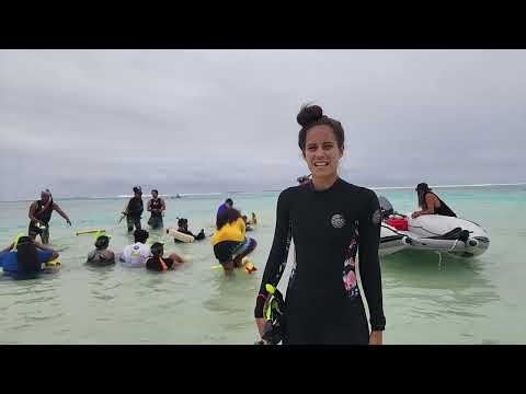 Citizen Science - Tracking turtles through photos