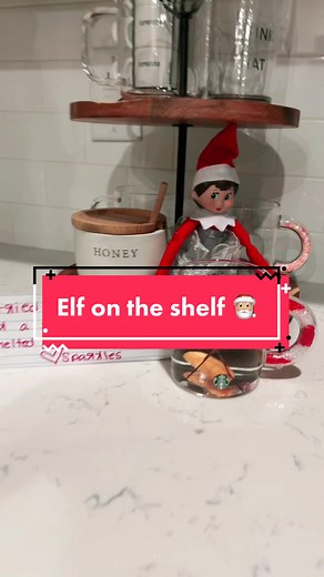 Quick Elf on the Shelf Idea: Water, Carrot, 2 Sticks, Peppercorn!