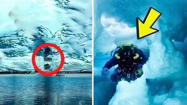 Scientists Find Mysterious Cave In Iceberg. They Turn Pale When Seeing What's Inside