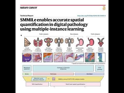 680-SMMILe：数字病理学空间定量多实例学习框架