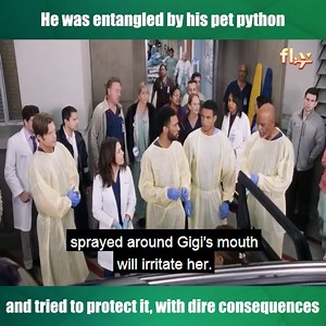 1.1K views · 13 reactions | He was entangled by his pet python and tried to protect it, with dire consequences | Don memes | Facebook