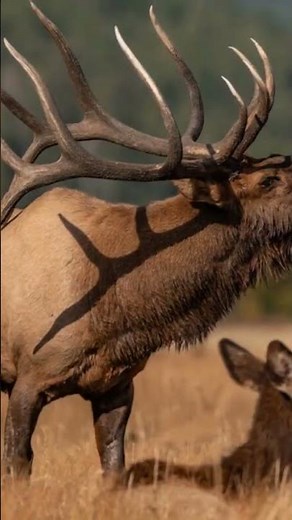 30-06 Springfield Is A Versatile Hunting Cartridge