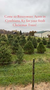 2.2K views · 21 shares | Bring the family and make a memory this year...