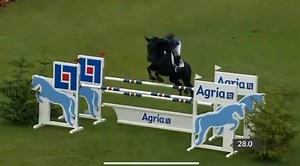 Unbelievable Dime doing what unbelievable Dime does best! What a horse ❤️ So so close today - 6th in the 1.60m Derby Trial at The All England Jumping Course, Hickstead Let’s hope we can keep our form for Sunday!! 🖤 🫶 WeatherBeeta UK Brooke, Action For Working Horses and Donkeys Charles Owen Coldstream Equestrian FLAIR Equine Nasal Strips GAIN Equine Nutrition Zebra Products Green Mile Bedding Flying Changes Bespoke Jackets & Tailcoats NAF Childeric UK Veredus Horse Riding Equipment Fabbri Boot