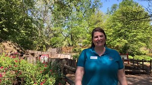 3.7K views · 137 reactions | Learn about ways you can help the Earth as we visit otters, kangaroos and goats. | Tulsa Zoo | Facebook